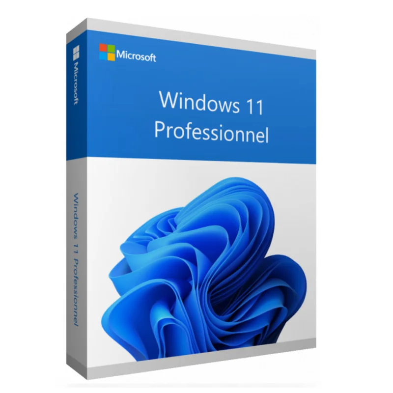 Microsoft Windows 11 Professional key OEM